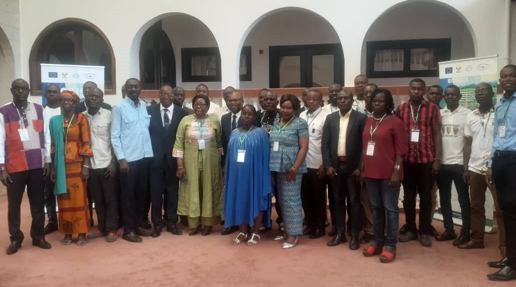 Maladies virales du manioc / Un atelier ouvert à Grand-Bassam pour une riposte face aux menaces